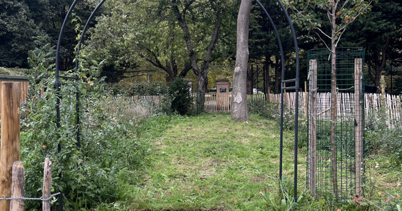 Photo of Moreton Gate Nature Garden