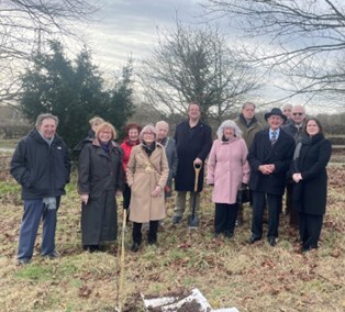 group plant a tree