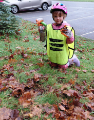 Bulb Planting Sytch Lane Nov 2025