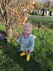 Bulb planting event November 2025