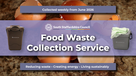 Food Waste