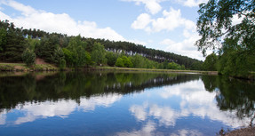 Image of open water at Cannock Chase