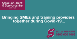 Skills Hub image - Bringing SMEs together