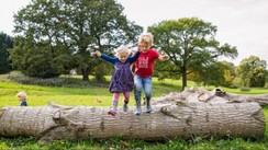 Burton Wildlife Walk
