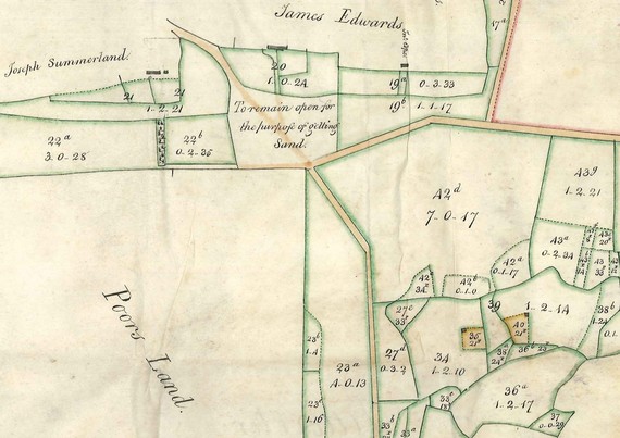 Detail of coloured map of High Wood