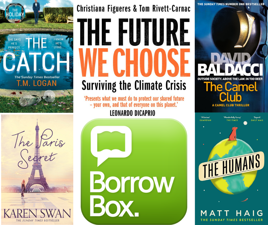 Borrowbox Campaign titles