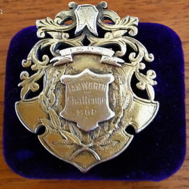 Silver medal on dark blue velvet cushion