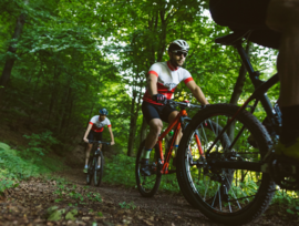 Mountain Bikers on Cannock Chase