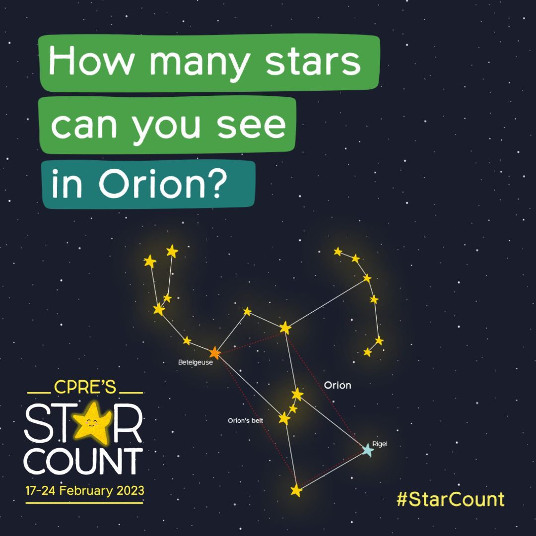 How many stars in Orion