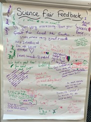 Science Fair Feedback