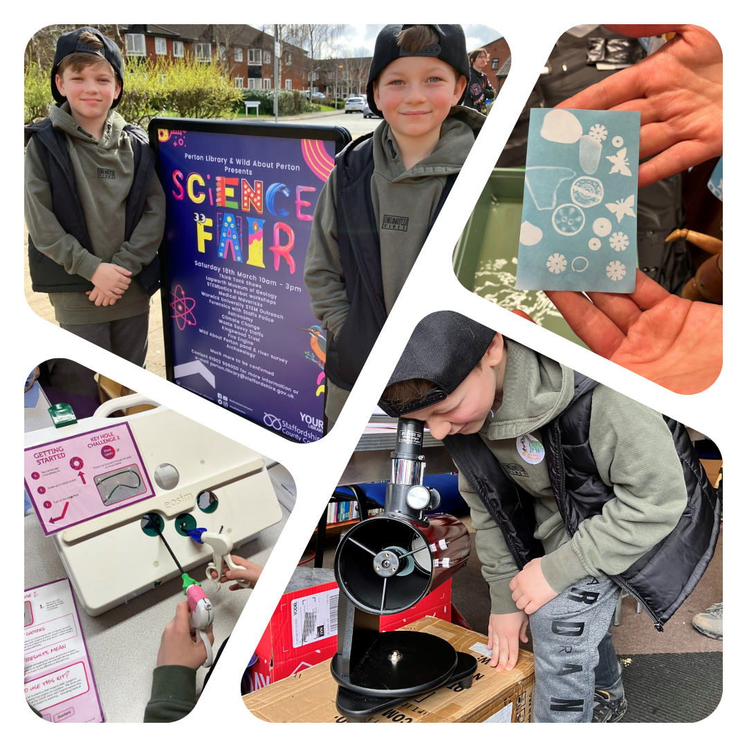 Collage of Science Fair Activity