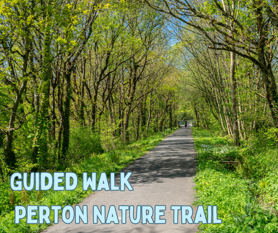 Guided Walk Perton Nature Trail  - A path between trees