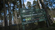 Cannock Chase Forest