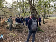 Veteran tree training