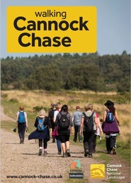 Walking Cannock Chase