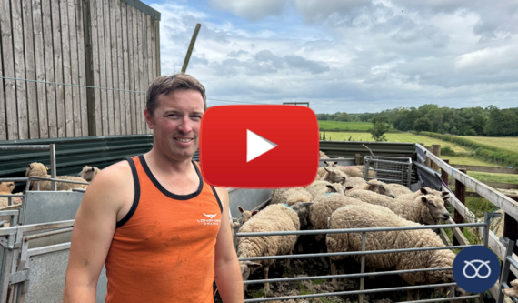 Tom Chapman, a 34-year-old Shepherd at one of Staffordshire County Council’s farm holdings.