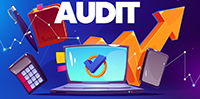Audit logo