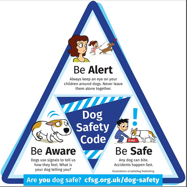 Dog Safety