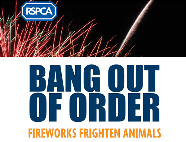 Fireworks campaign poster