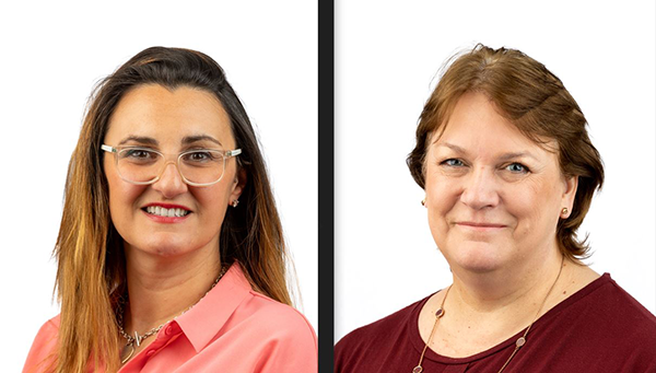 Mental health champions