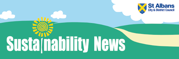 Sustainability News Banner