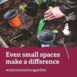 Coronation garden scheme
