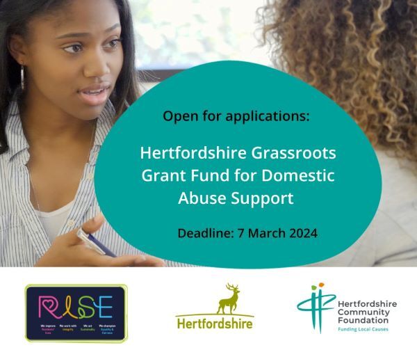 Domestic abuse grants