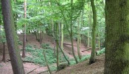 Beech Bottom Dyke