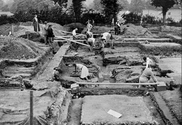 Museum rose and crown