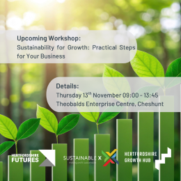 Sustainability for Growth Practical Steps for your Business promotional image