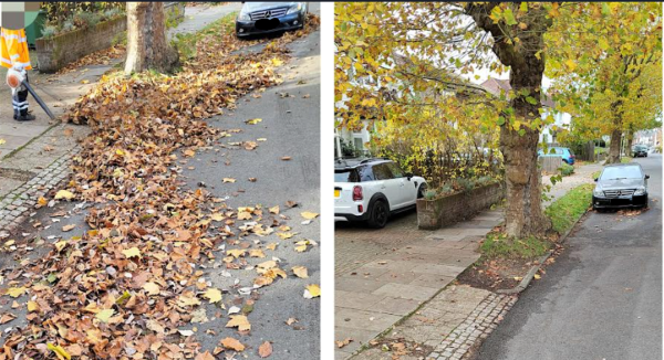 Leaf clearance