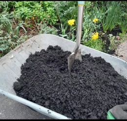 compost