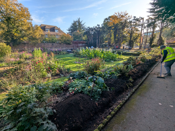 Rose Garden