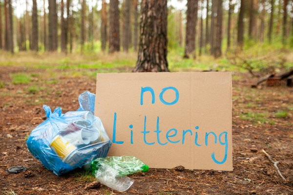 litter pick
