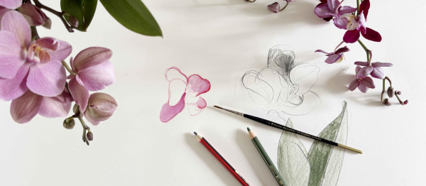 Museums - orchids