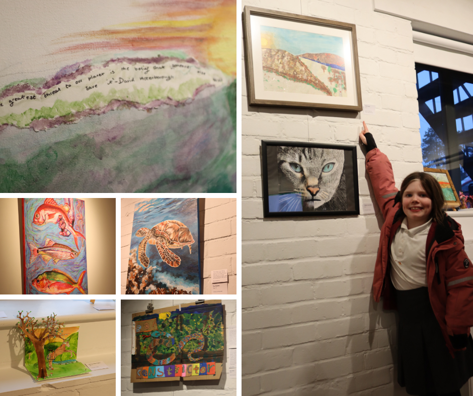 Our Natural World exhibition at Three Storeys