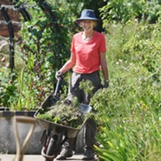 MITP garden volunteer