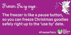 freezer fairy