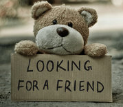 Lonely bear looking for a friend