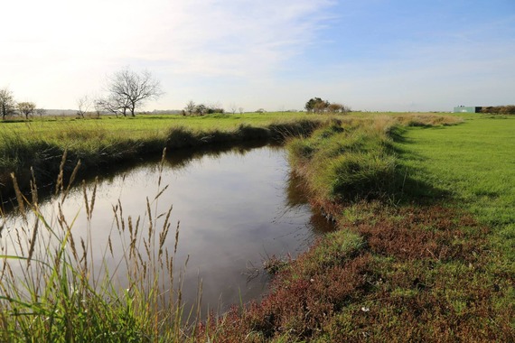 Rural scene of a waterway at Barton's Point Coastal Park