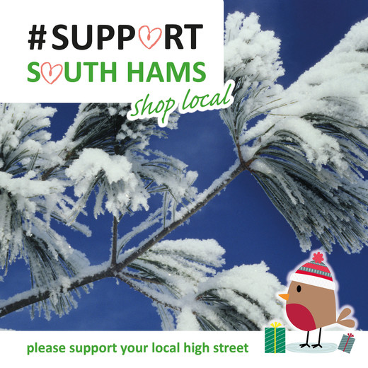 Support South Hams high streets