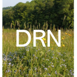 Devon rewilding network