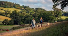 Dartmoor Shepherd