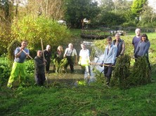 tree planting parklife