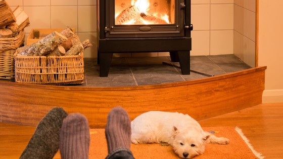 wood burner with dog and sock feet