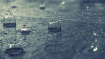 Rain raindrops puddles