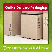 Online Delivery Packaging