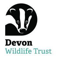 devon wildlife trust