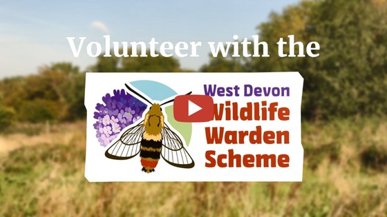 volunteer with wildlife warden scheme