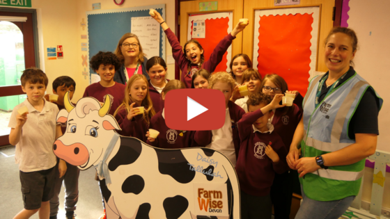 mandy video thumbnail